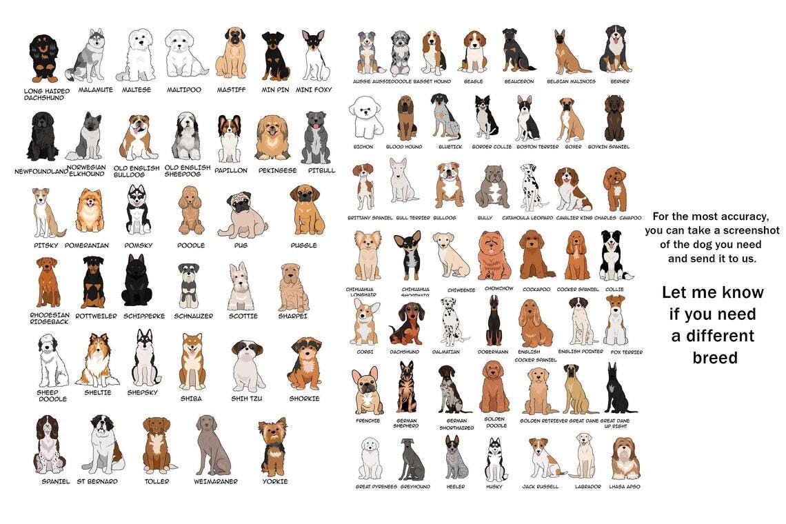 Custom Teacher Clipboard My Dog Ate My Lesson Plan, Dog Mom Teacher, Teacher Appreciation Gifts, Funny Teacher Gift, Back To School Gift