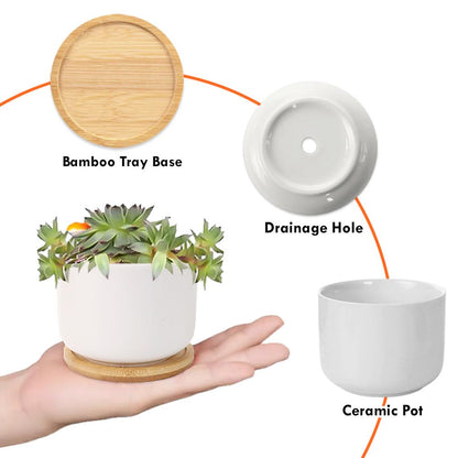 Custom Flower Pot for Teacher, Back To School, Thank You for Helping Me Grow Plant Pot, Teacher Appreciation Gift, Thank You Teacher Gifts