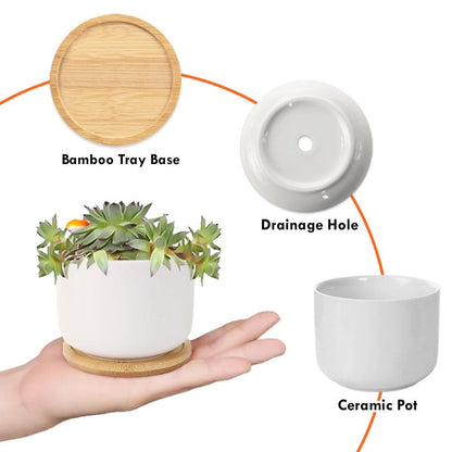 Custom Flower Pot for Teacher, Back To School Gift, Teacher Gift Plant Pot, Teacher Appreciation Gift, Thank You Teacher Gifts